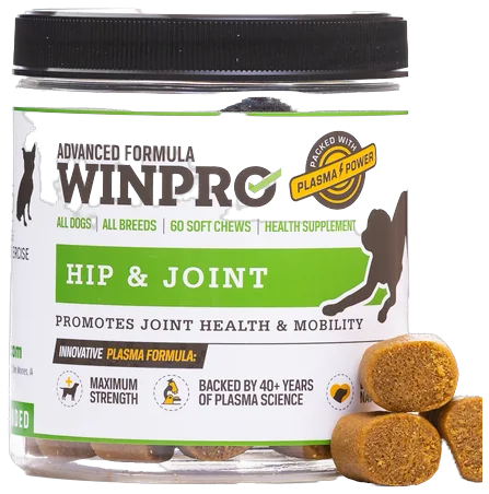 WINPRO Pet Hip and Joint soft chews canister